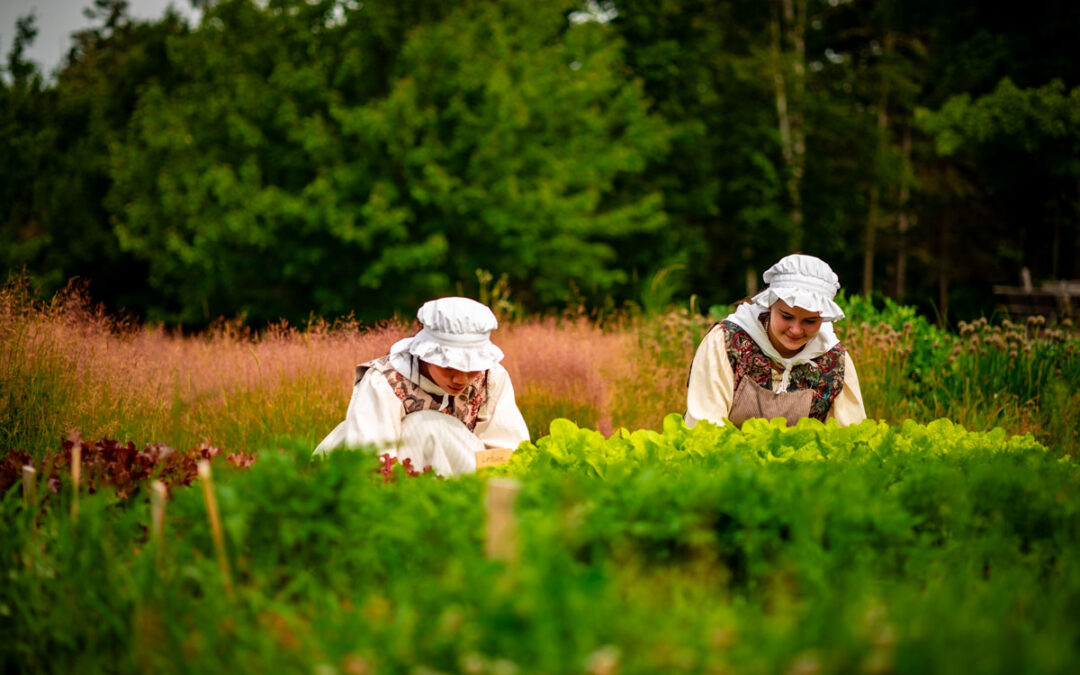 Nature’s Culinary Wonders: Edible Flowers & Fermentation Workshops 